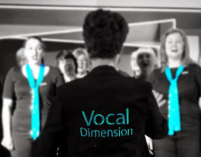 Vocal Dimension at the Ideal Home Show
